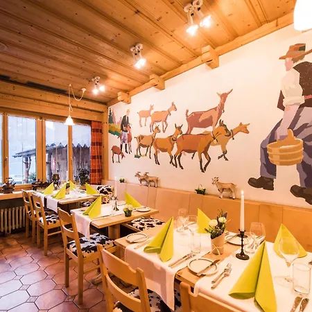 Hotel Brienzerburli 3*