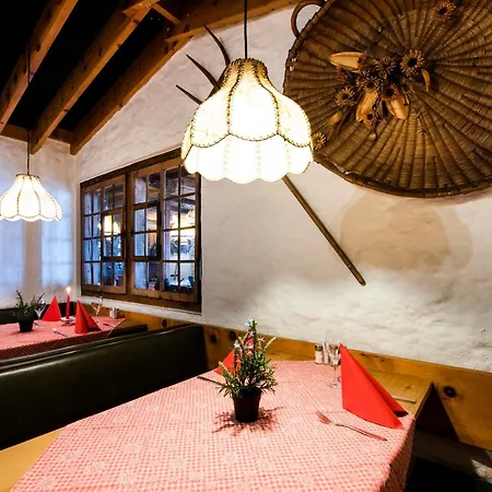 Hotel Brienzerburli Brienz (Bern)