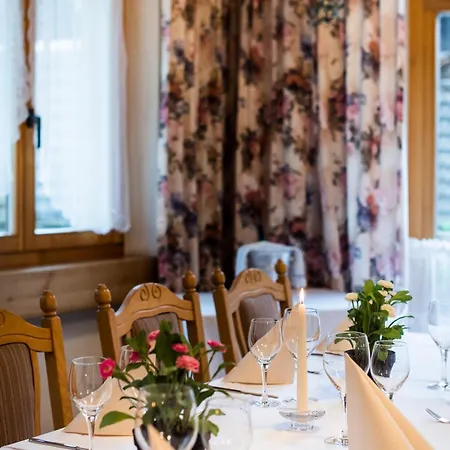 Hotel Brienzerburli Brienz (Bern)