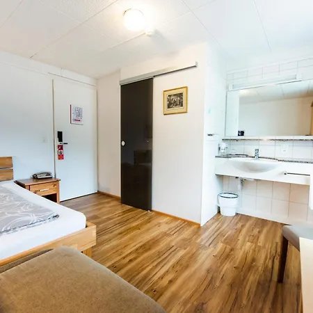 Hotel Brienzerburli