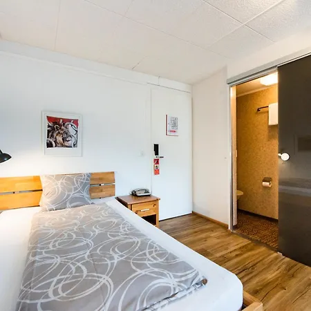 Brienzerburli Hotel 3*