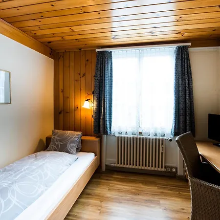 Hotel Brienzerburli Brienz (Bern)