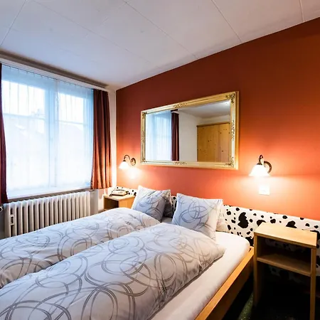 Hotel Brienzerburli 3*