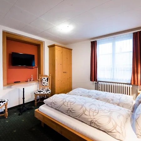 Hotel Brienzerburli 3*