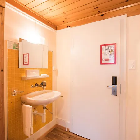 Brienzerburli Hotel 3*