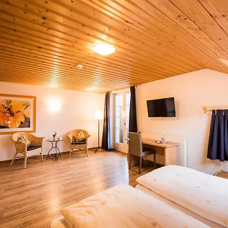 Hotel Brienzerburli 3*