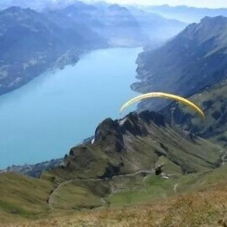 Brienzerburli Hotel Brienz (Bern)