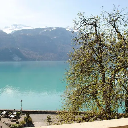 Brienzerburli Otel Brienz (Bern)