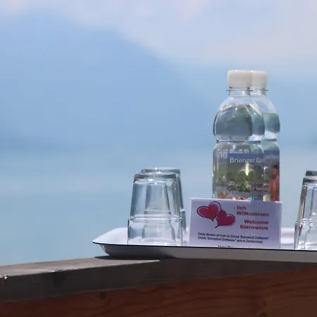 Brienzerburli מלון 3*