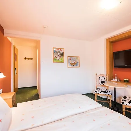 Hotel Brienzerburli