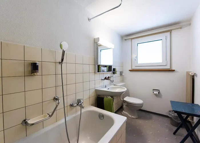 Hotel Brienzerburli 3*