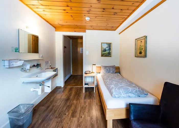 Brienzerburli 3* Brienz (Bern)