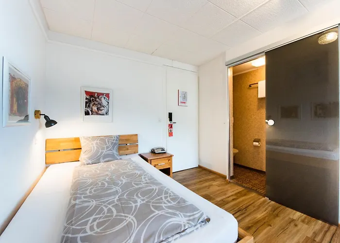 Brienzerburli Hotel 3*