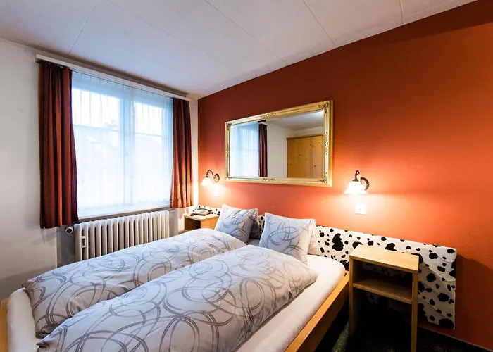 Hotel Brienzerburli 3*