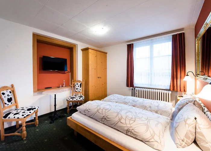 Hotel Brienzerburli 3*