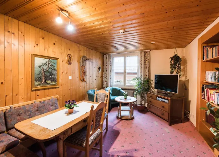 Hotell Brienzerburli 3*