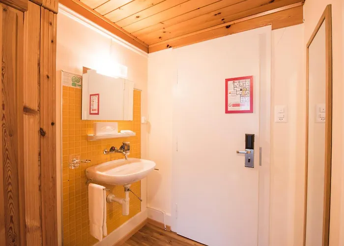 Brienzerburli Hotel 3*