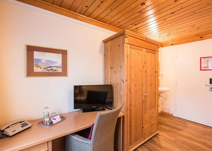 Hotel Brienzerburli Brienz (Bern)