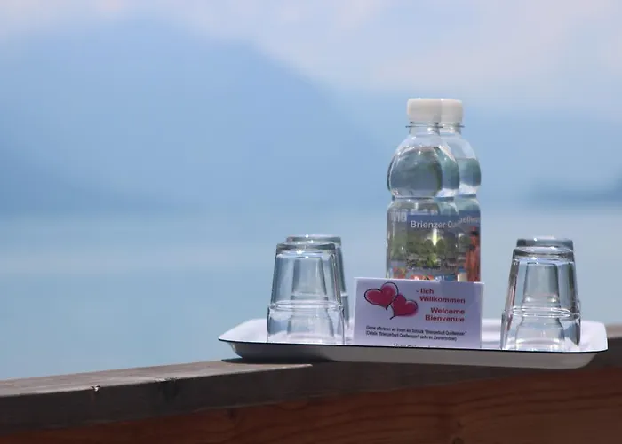 Brienzerburli Hotel 3*