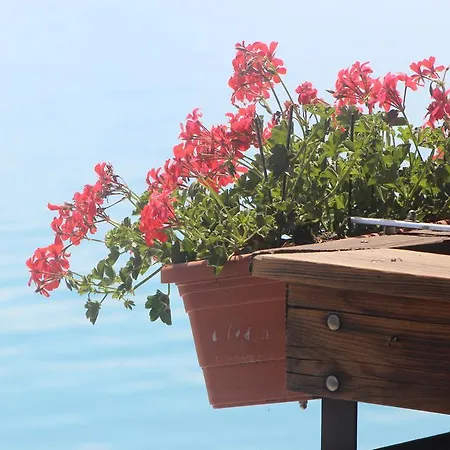 布里恩茨艾伯里酒店 酒店