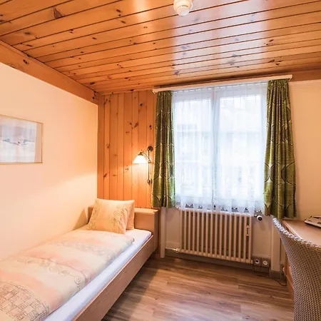 Hotell Brienzerburli Brienz (Bern)