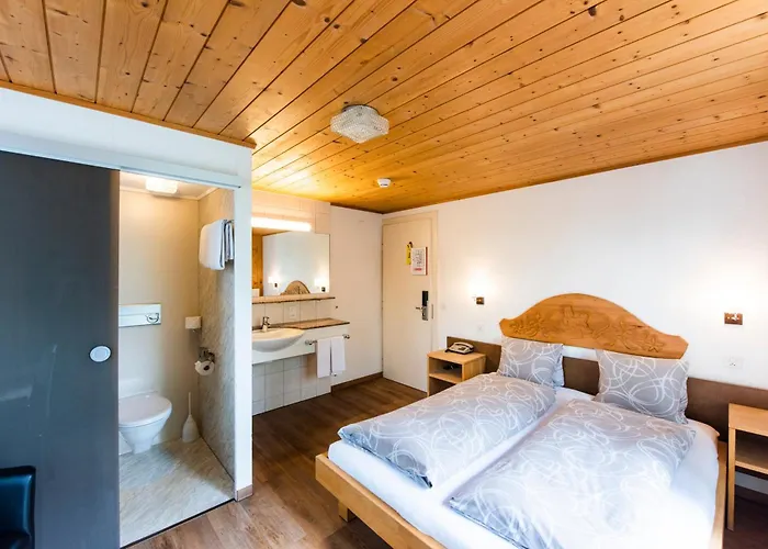 Brienzerburli Hotel 3*