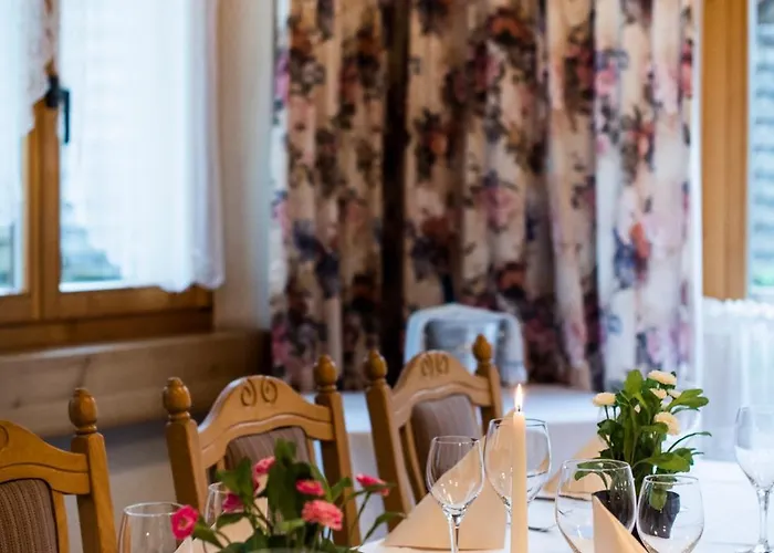 Hotel Brienzerburli Brienz (Bern)