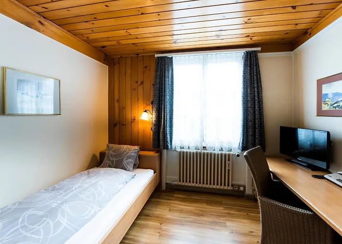 Hotel Brienzerburli Brienz (Bern)
