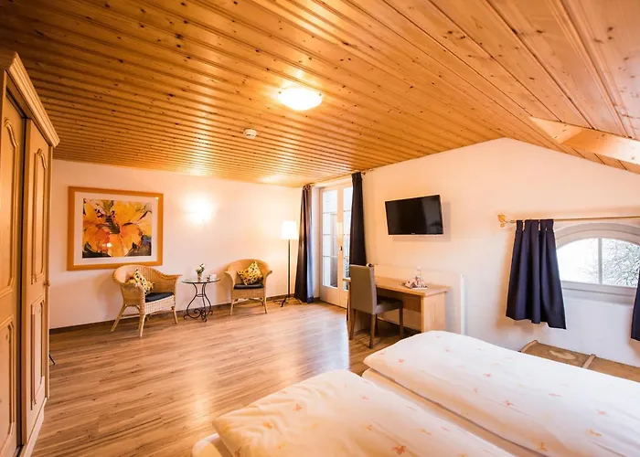 Hotel Brienzerburli 3*