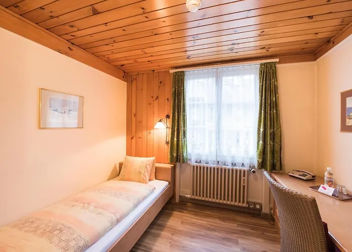 Hotel Brienzerburli Brienz (Bern)