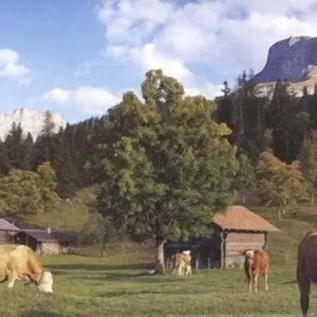 برين زيربورلي برينز