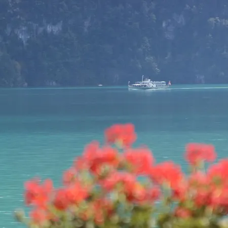 برين زيربورلي فندق